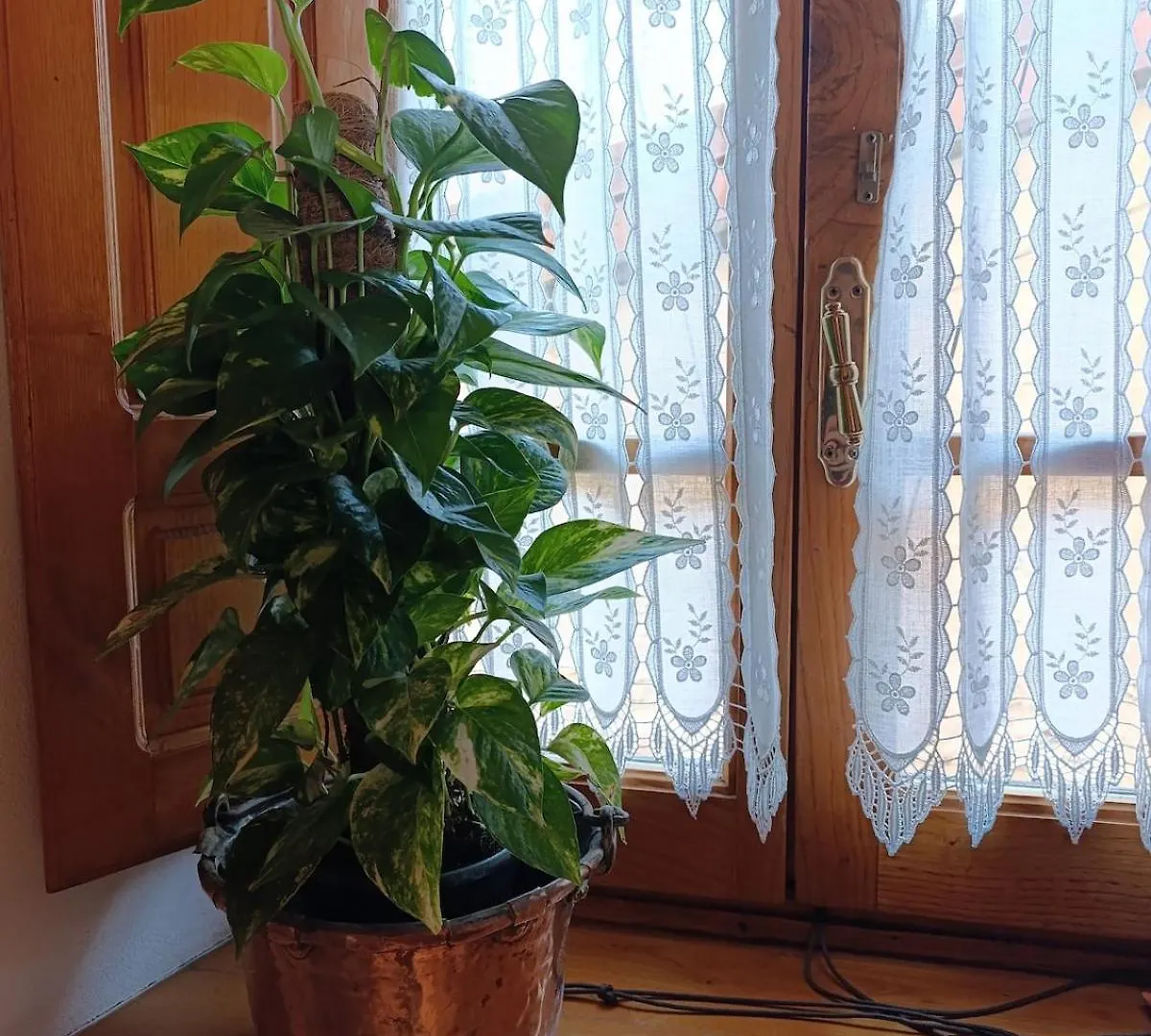 Rustico La Tavernetta Seravezza Holiday home